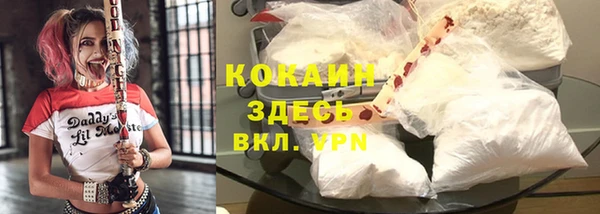 индика Козельск