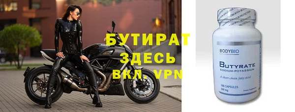 индика Козельск