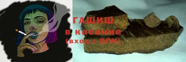 индика Козельск