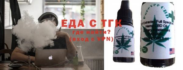 индика Козельск