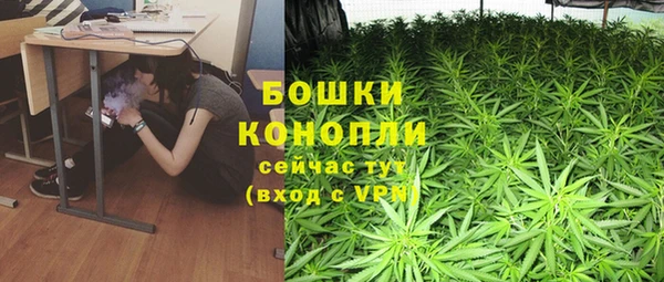 МДПВ Козловка