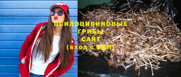 индика Козельск