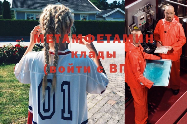 индика Козельск