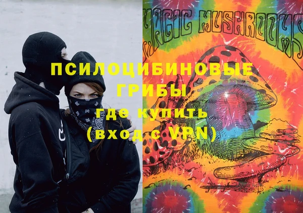 МДПВ Козловка