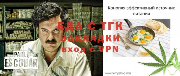 индика Козельск