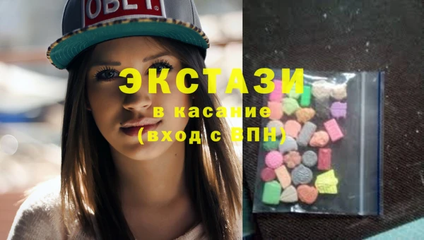 индика Козельск