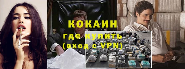 индика Козельск