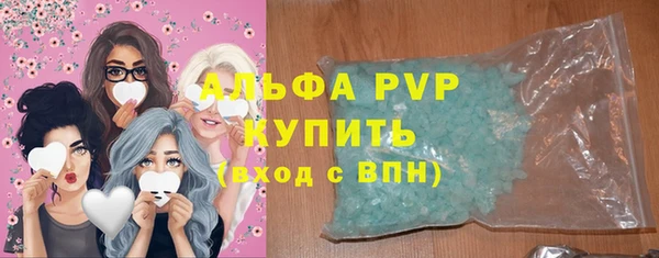 индика Козельск