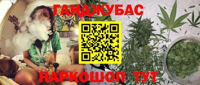 a pvp Гагарин