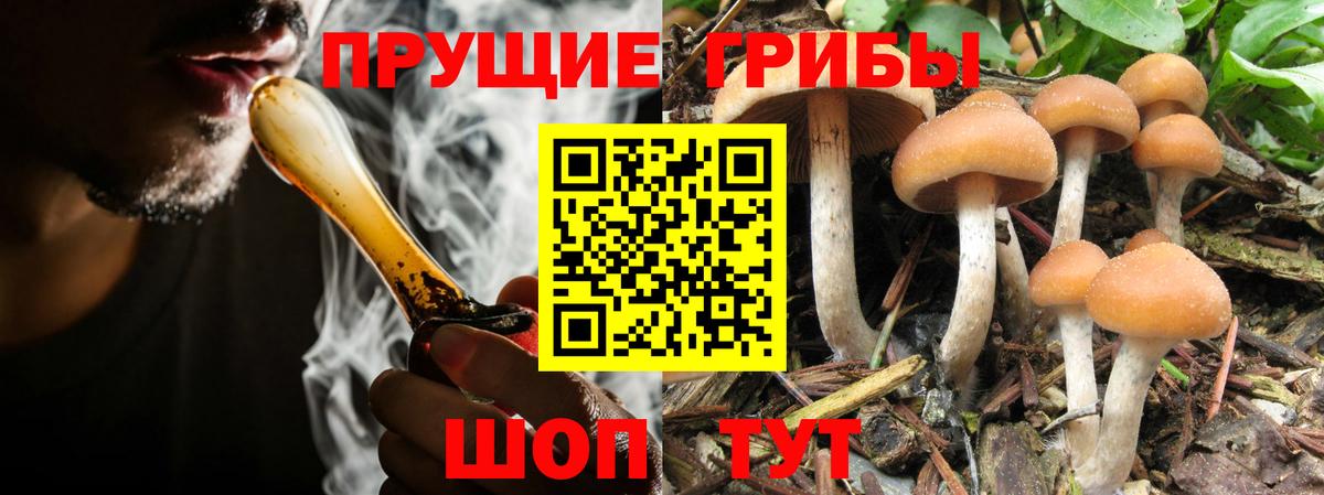 Галлюциногенные грибы GOLDEN TEACHER  Вход с VPN  Кушва 